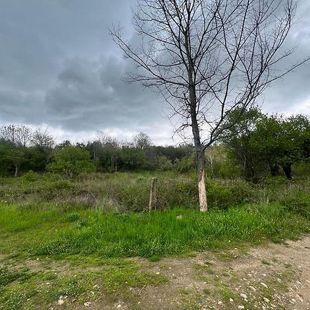 Къмпинг Частен Двор Bulgarian Campsite For Tents Kazanlŭk Exterior foto
